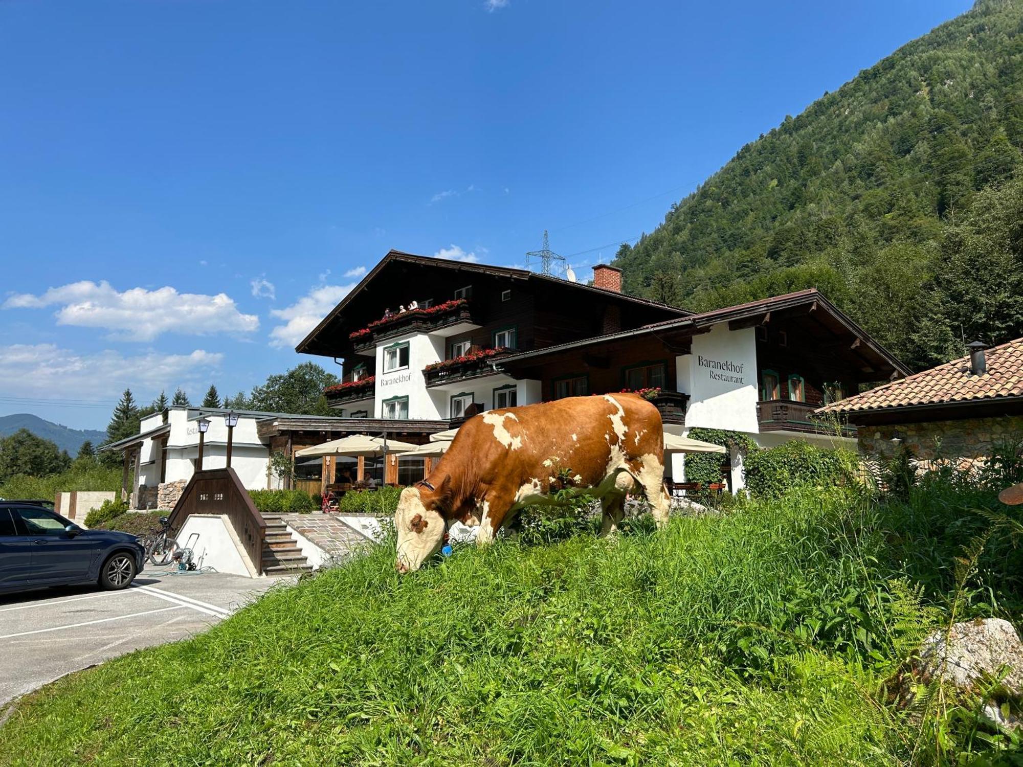Pension Baranekhof - Baranek Resorts Kaprun Luaran gambar
